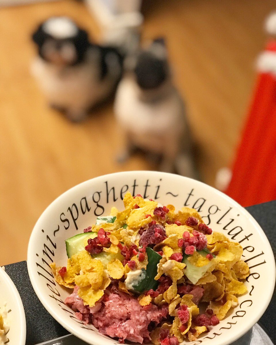 baum_71's tweet photo. Beef, cucumber, raspberries, and hummus.(last 3 ingredients were scraps for the bin)
It’s fair to say our dogs probably eat better than us.
#middleclassdogs #dogseatinghummus #trendydogs #farting #bumblesnot #thebumblesnot #FARTING https://t.co/hGbjuDdWgk