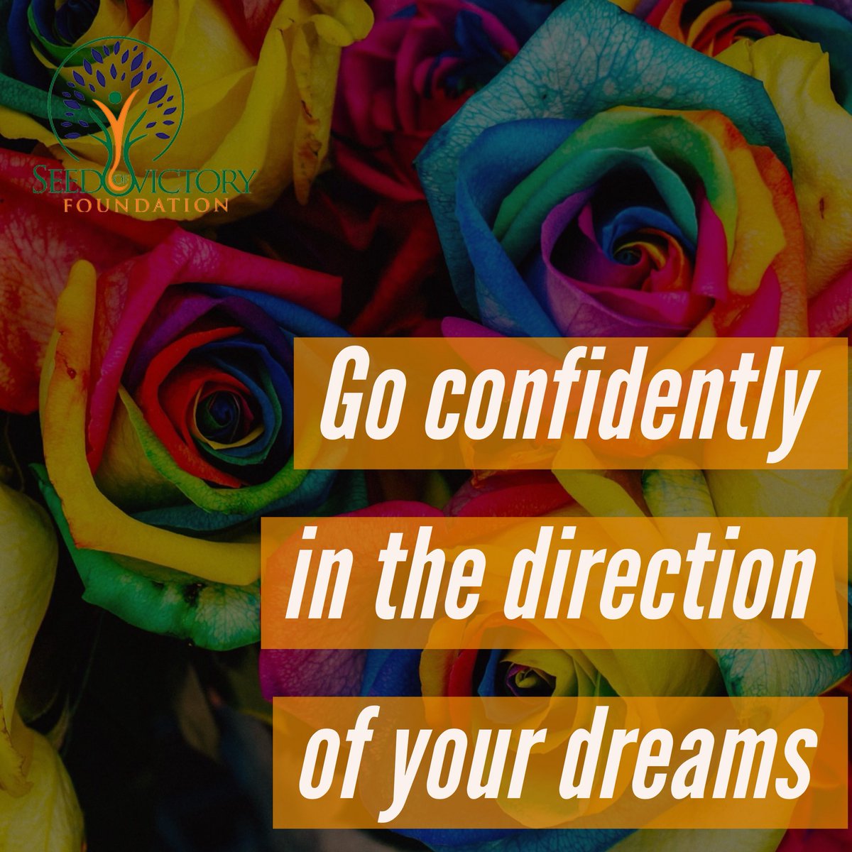 SOVFoundation's tweet photo. #seedofvictoryfoundation #confident #direction #sessionplusinc #churchmemedia https://t.co/ERBOAxt2oO