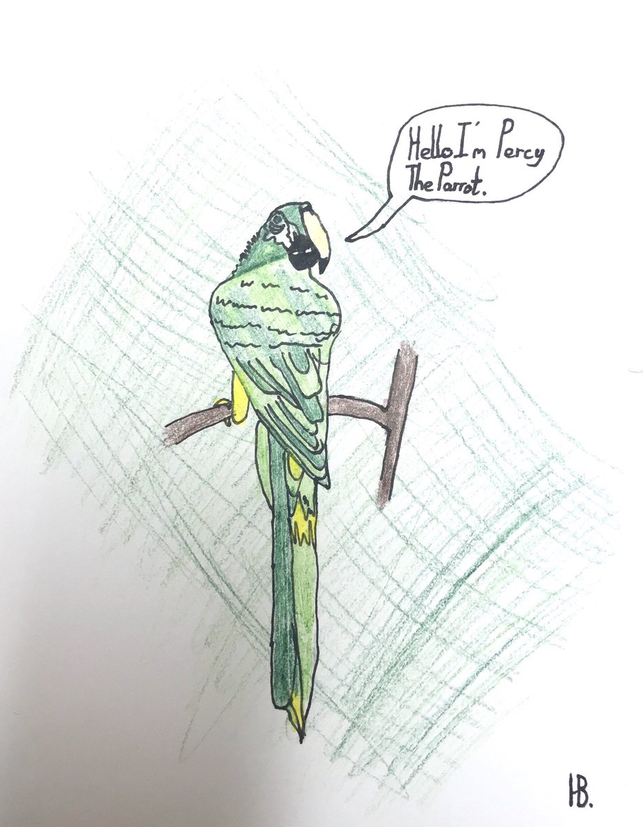 Percy_Parrot's tweet photo. Another amazing portrait of me!! This time, from a year 9 student in @Hawkstone_BBS ! 😃👍🏻 #ParrotPortrait #PrincipalsParrot #importantparrot https://t.co/YXmwgvIJpV
