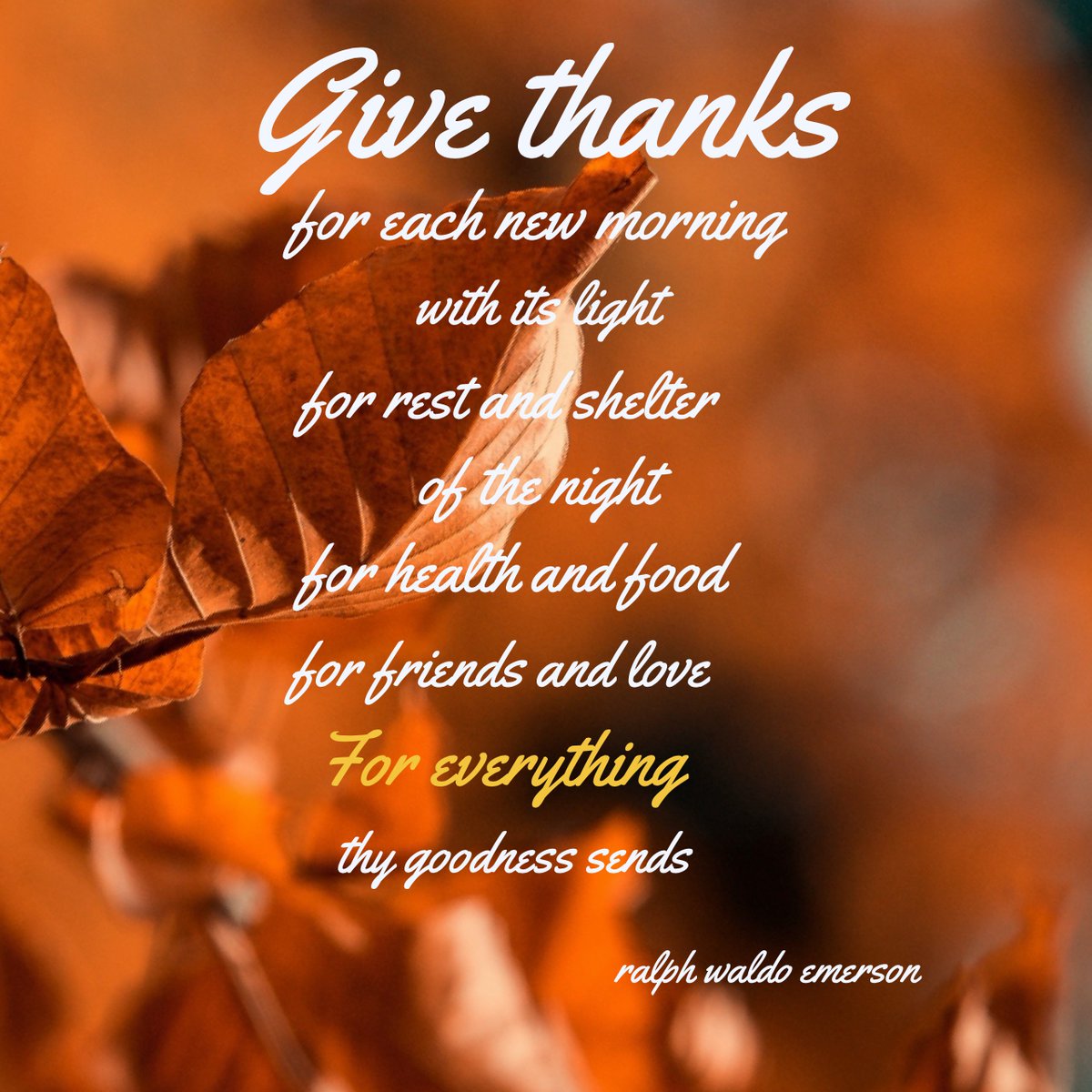 SVDPsfSchool's tweet photo. The SVDP Faculty and Staff wish our community a happy and safe Thanksgiving holiday. https://t.co/Jw8Mf6zBpL