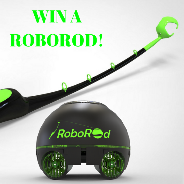 Roborod23's tweet photo. Want to be the VERY FIRST to own a ROBOROD?

In order to compete submit your email and phone number 
in the comment section or my inbox and you're in!

Your information is secure and kept private with Roborod*
The winners will be drawn in 2018* https://t.co/yEYQt92Bza