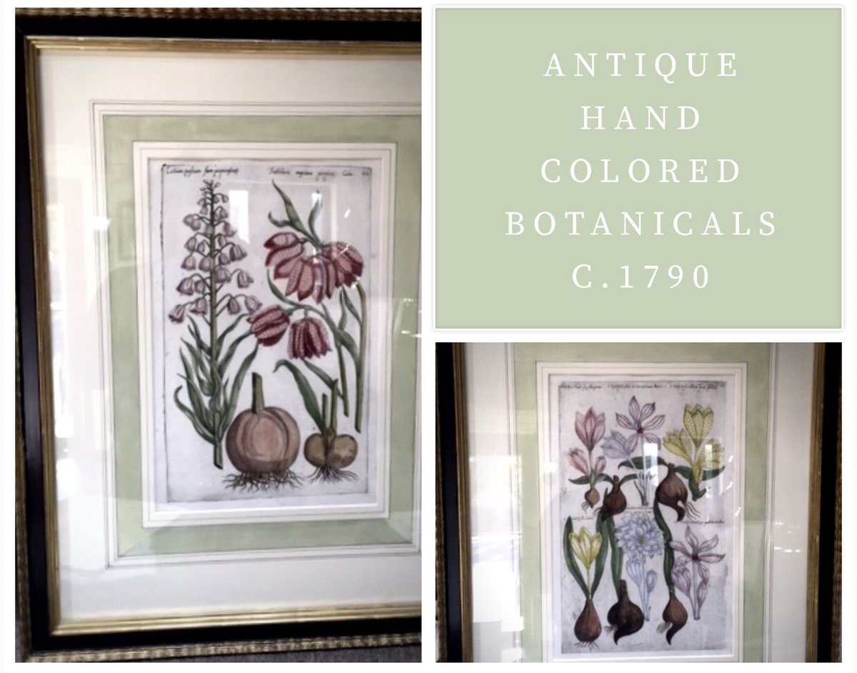 fredreedframes's tweet image. These are antique hand colored botanicals c.1790. Hand painted watercolor French mat. 22kt. Hand carved gold and Dutch black/ brown frame.