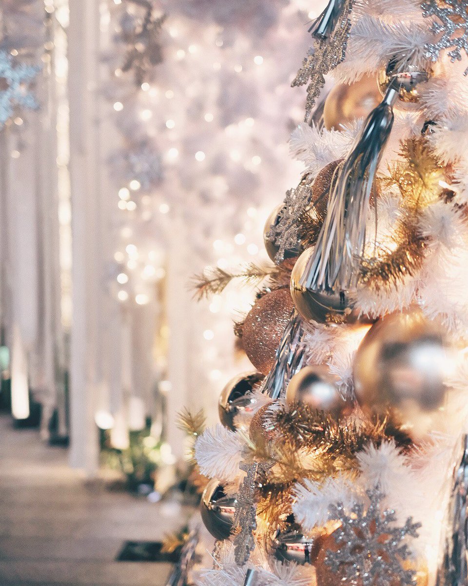 ununfah's tweet photo. Christmas is around the corner 🎄🎅🏼 ซุ้มทางเดินเข้า Emporium จัดต้อนรับเทศกาลคริสต์มาส ของจริงสวยมาก กลางวันว่าสวยแล้ว กลางคืนสวยกว่า ฝั่ง Emquartier ก็กำลังสร้างหมีขาวตัวใหญ่เท่าตึก2ชั้น นี่แนะนำว่าใครเบื่อถ่ายหน้าctw ก็มาถ่ายรูปที่นี่ได้ BTS พร้อมพงศ์เด้อ https://t.co/ty8jCCgjZb