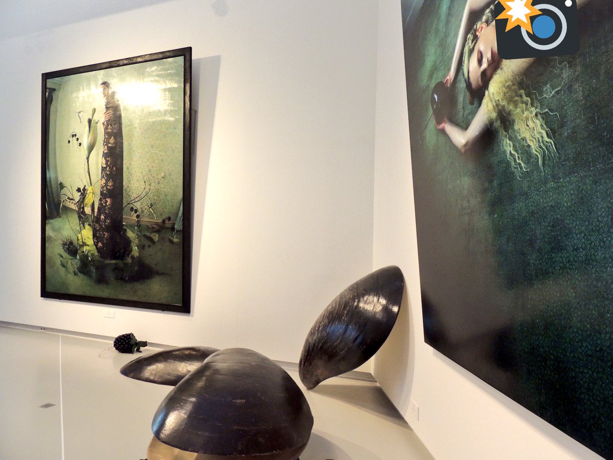 misspallen's tweet photo. #timwalkerxbosch at @NoordbrabantsM is beautiful, intelligent and firm proof that #fashion can be art. Tim Walker's photography + Shona Heath's design = magic. https://t.co/IGKIEilCCV