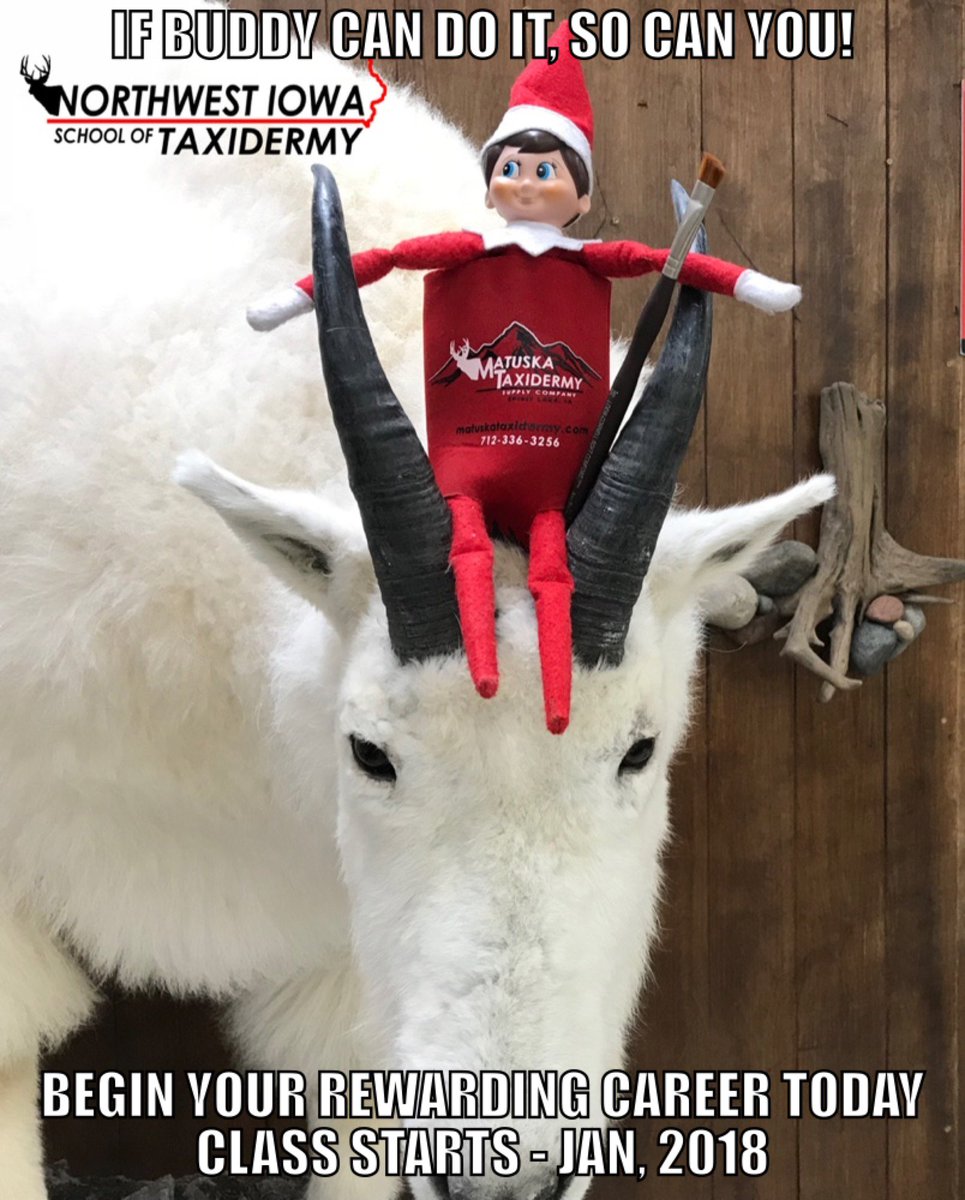 MatuskaSupplyCo's tweet photo. Sign up today @ https://t.co/re5LJmwJ2h #learntaxidermy #taxidermytraining #taxidermyschool #NorthwestIowaSchoolofTaxidermy #buddytheelf #taxidermy #taxidermyinstruction https://t.co/d5ZxOG9AZH