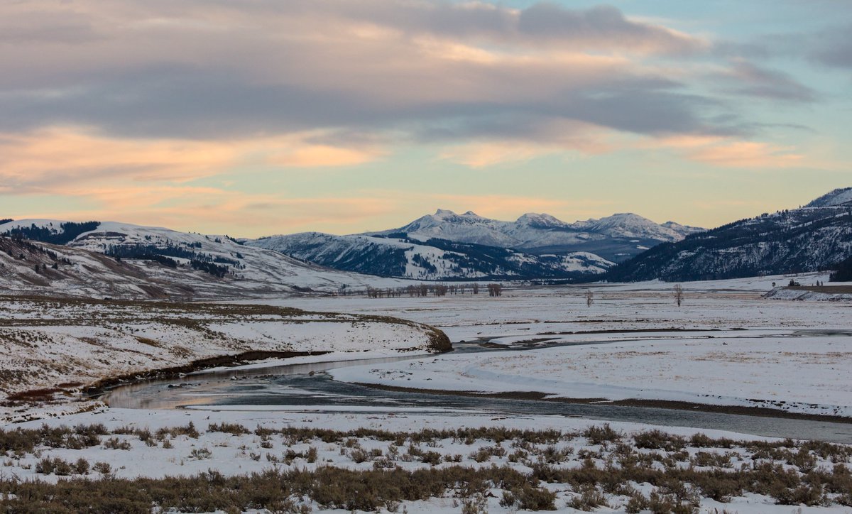 YellowstoneNPS's tweet photo. If you're looking for a place to "hike off" some of your Thanksgiving dinner, Lamar Valley is open year-round and has plenty of room to explore. #OptOutside https://t.co/u9QdjvbPcd