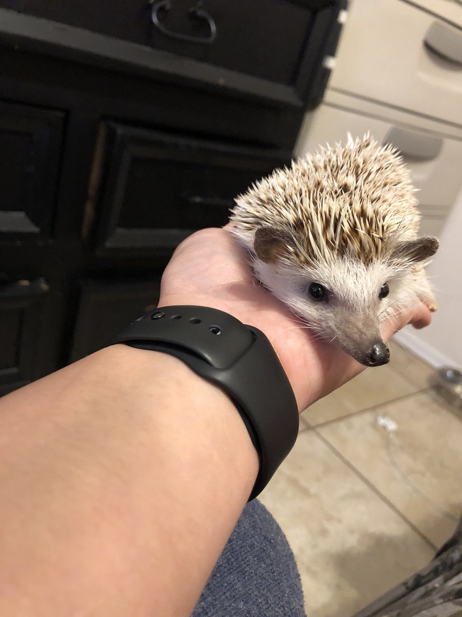 ⭕️ CIRCLES 1.17 ⭕️ tweet media