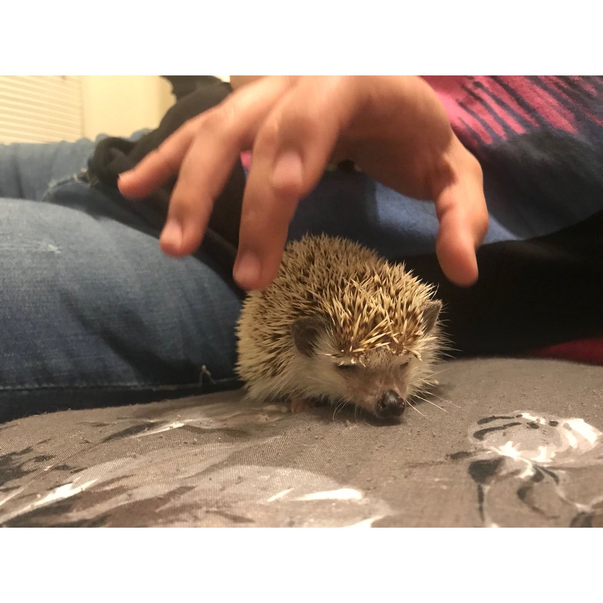 ⭕️ CIRCLES 1.17 ⭕️ tweet media