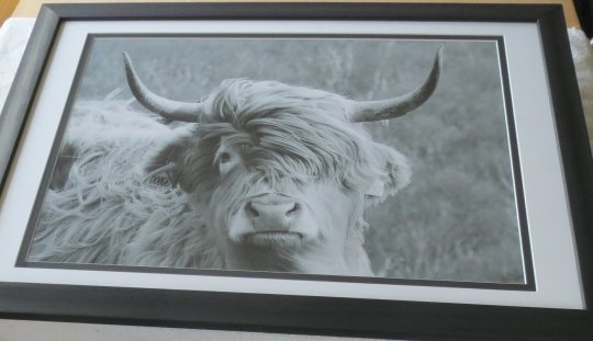 OnlyInTheWild's tweet image. Ready for @WestpointExeter @ShoppingFayre  REALLY looking forward to it. I'm making name frames as always to order 1 - 9 letters @ show in sepia or B &amp;amp; W, black or wood frames, plus Boris &amp;amp; Donald &amp;amp; more, &amp;amp; these below. From Dec 4th in #TheMalls in #basingstoke with @CIAMarquees