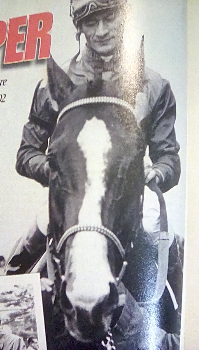 JackpotNick's tweet photo. Until #Zenyatta came along my favorite mare was #SusansGirl, a hard-hitting #FredHooper Fla -bred https://t.co/rLI3pBMrI2
