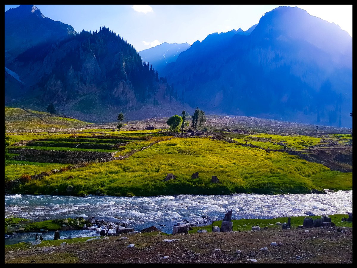 Muhammad Ashfaq tweet media