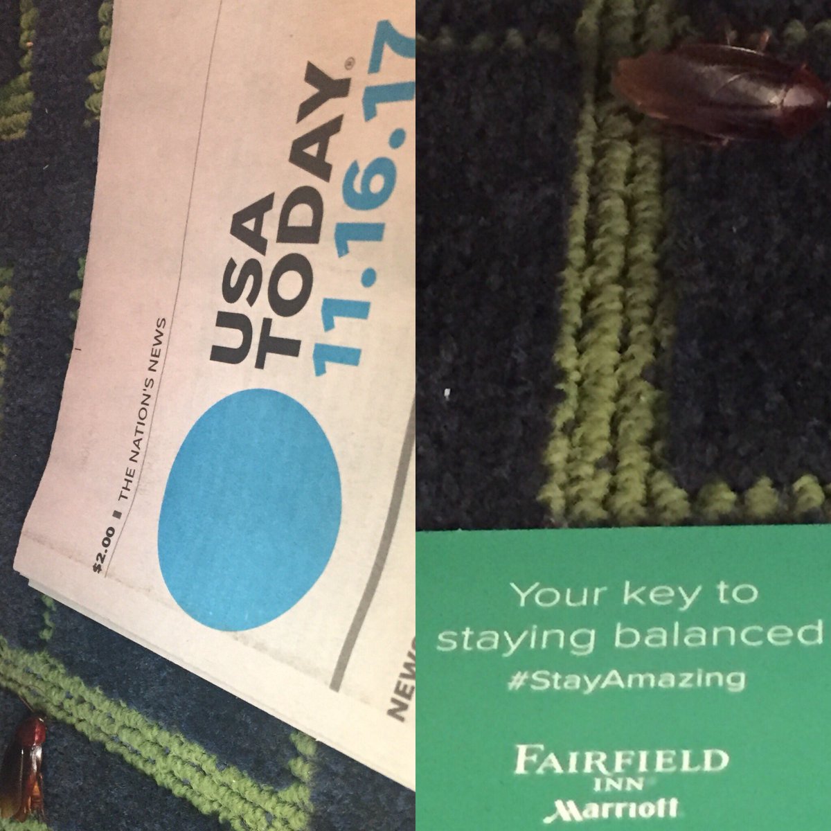 d_lockett's tweet photo. @FairfieldHotels Your Customer Service Regarding This Roach In My Room Has Been Exceptionally Terrible #Roaches https://t.co/pZtvIY14a5