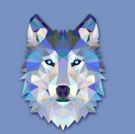 WolferOfficial's tweet photo. #NewProfilePic https://t.co/vj3KLMePs9