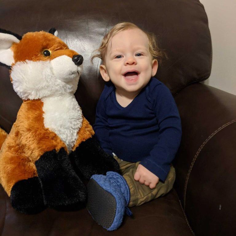 fred meyer stuffed animals