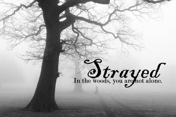 adventurecow's tweet image. Strayed iOS is on sale for #CyberMonday! Explore this dark interactive tale today - the woods are waiting.

goo.gl/1KzcxY

#Gamedeals