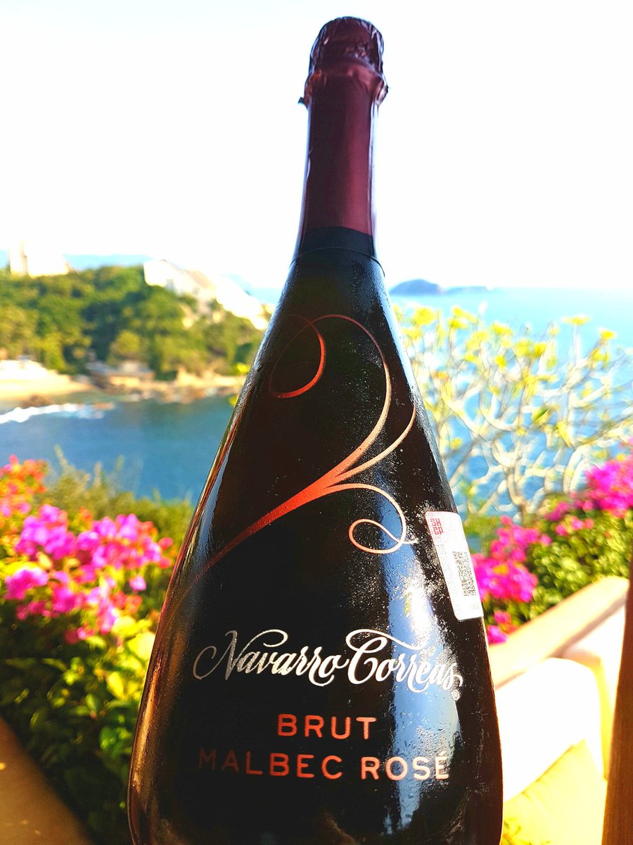 alain_derouin's tweet photo. #Catadeldia #NavarroCorreas #Brut #Rosé en Terrace bar @CaladeMarResort #Pidetealgogourmet @JavierAluni #puntaixtapa #winewednesday #VisitIxtapa #Mexicodestinations #FelizMiercoles #Wednesday #winetasting https://t.co/vq7Tu56RDH