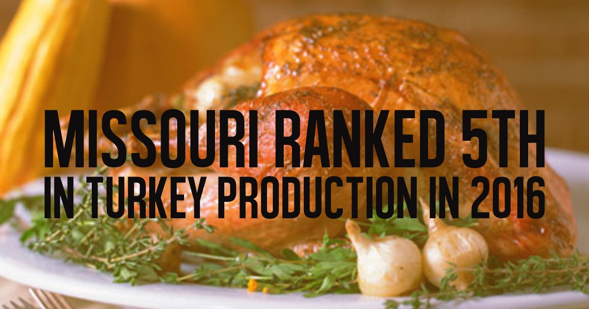 gmochamber's tweet photo. A little #trivia for #thanksgiving! RT @MoEcoDevo: Tomorrow is #Thanksgiving! Did you know that MO ranked 5th in turkey production in the U.S. for 2016? Find more fun facts here https://t.co/e3OmJpG1vE #MoThanks https://t.co/zN2cCwdauK