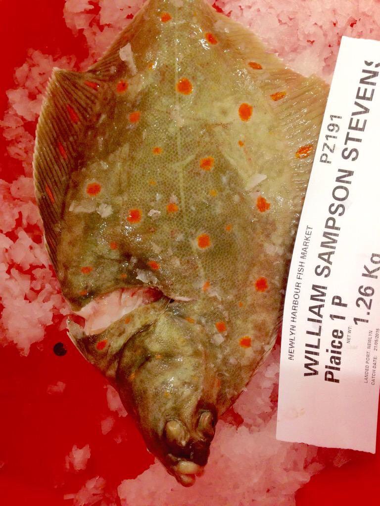 NewlynFishing's tweet photo. BeamTrawlers ‘Resurgam &amp;
AA @StevensonNewlyn landed 340bx #FreshCornish Quality Prime Mix for ThursAmMkt @FisheliciousUK #UKfresh #shoplocal https://t.co/n7C27AA5TX