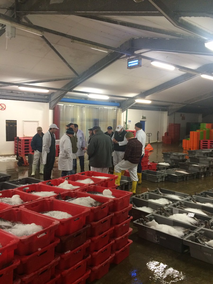 NewlynFishing's tweet photo. BeamTrawlers ‘Resurgam &amp;
AA @StevensonNewlyn landed 340bx #FreshCornish Quality Prime Mix for ThursAmMkt @FisheliciousUK #UKfresh #shoplocal https://t.co/n7C27AA5TX