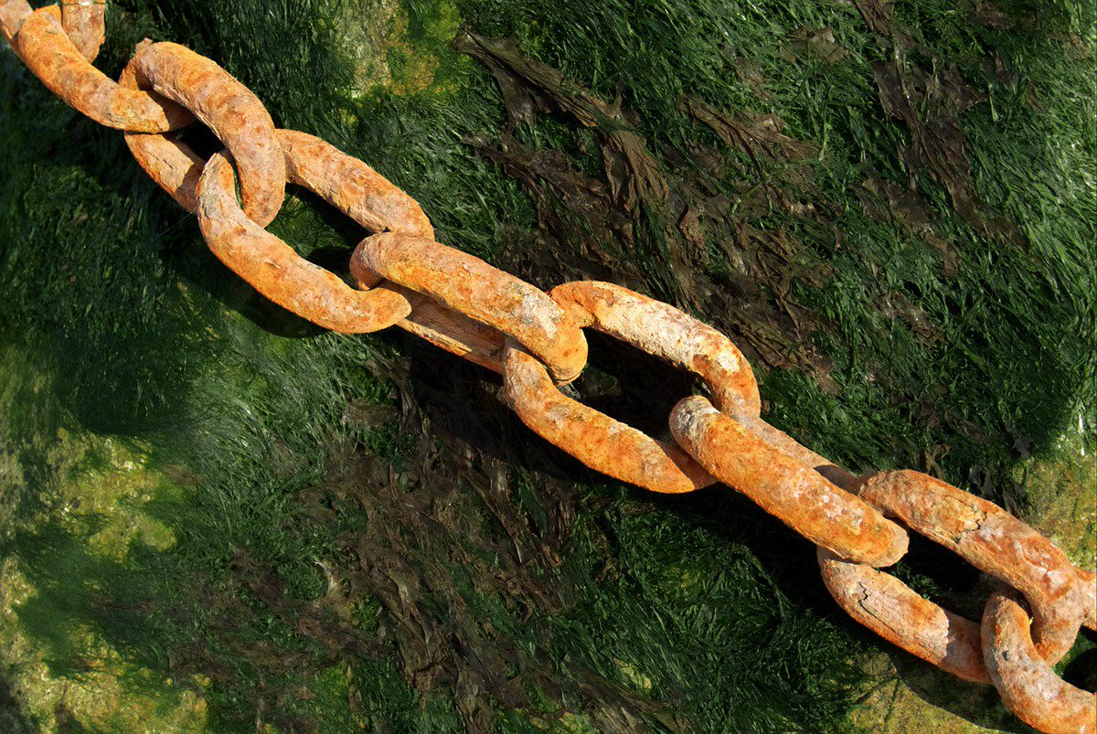 StopLivingWeak's tweet photo. Break away from the chains of your negative past life experiences. Move away from anything that is holding you back from moving forward.
#stoplivingweak #beingyourbest https://t.co/B5QSG8aGra