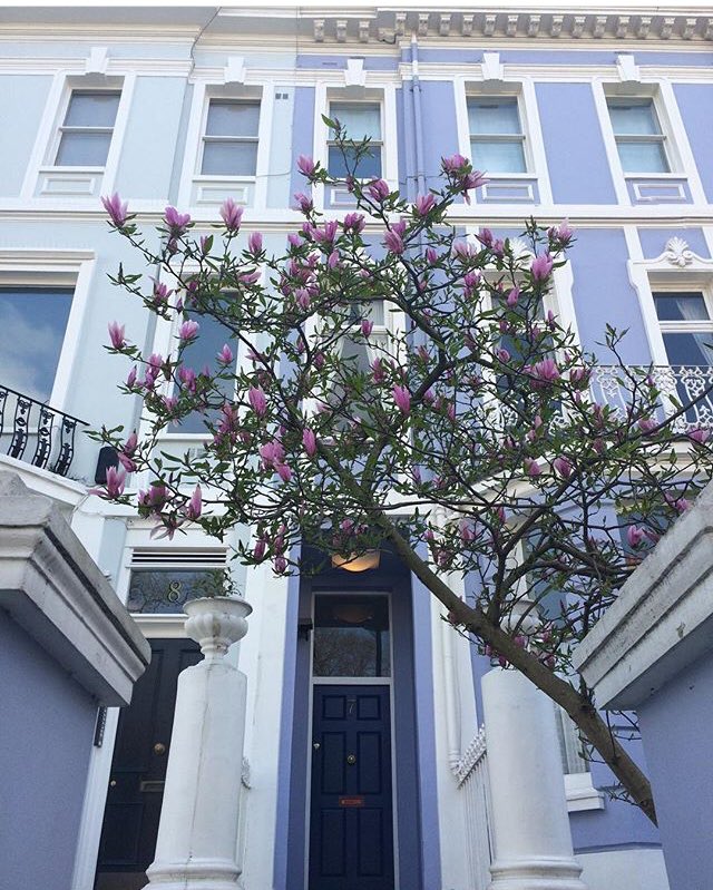CarolineRaby's tweet photo. #London
#Shoonly &amp; counting... https://t.co/o3UaOQg7WW