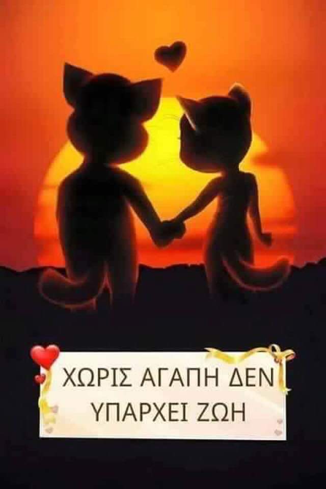 Η ζωή είναι όμορφη 🌷όταν μπωρεις νά είσαι ευτυχισμένος🌷 ακόμα και με τα λίγα 🌷νά μπωρεις νά ερωτευτεις 🌷νά ελπίζεις 🌷νά αγαπάς 👄👄
Καλό βράδυ φίλοι μου