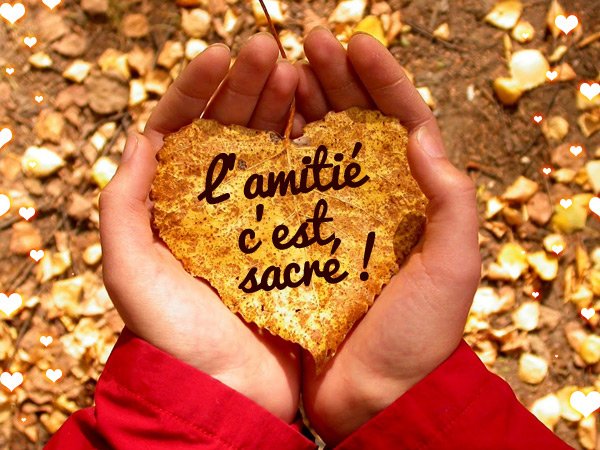 Bangoufamily's tweet photo. Plein de gros bisous à mes magnifiques amies @corinnemathie  @ChrisLecocq https://t.co/W2iEkCB8xG