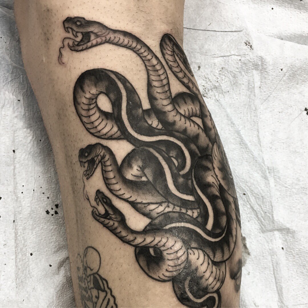 Matt Buck tweet media