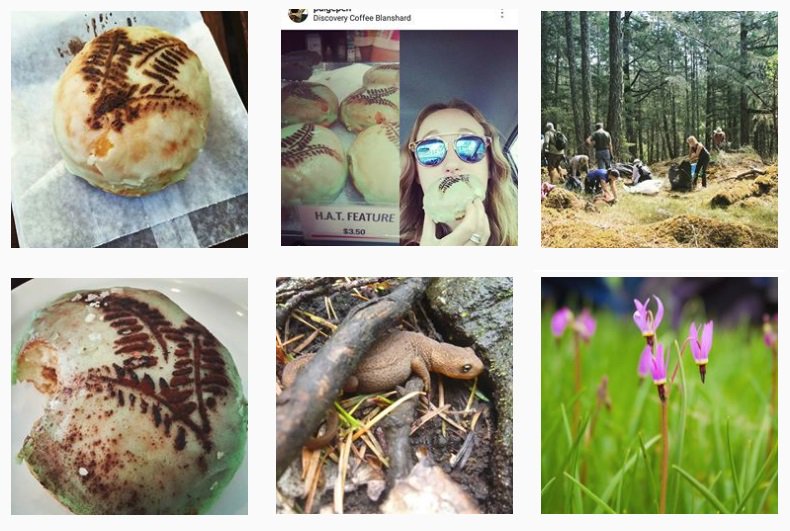 HabitatAcqTrust's tweet photo. #VictoriaBC You ate 1,379 doughnuts for nature?! Wow, thank you. We would like to recognize @DiscoveryCoffee &amp; @YonnisDoughnuts  for dough-nating $1,379 thru sales of charity doughnuts to conservation of nature in your region. So after those doughnuts, are u ready to hibernate? https://t.co/iVrL4mHsRF