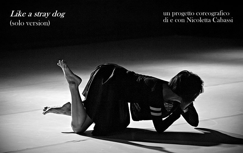 NicoCabassi's tweet photo. prossima data di "Like a stray dog" (in solo version): 2 dicembre 2017 - Perugia, sala Cutu - info: https://t.co/1CqgQ778fg https://t.co/BjyjrDT3nw