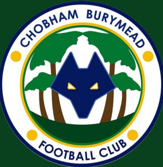 addlestonefc's tweet image. This Saturday we face @CBFCWebsite at home in the league. 2pm kickoff @ JHS. If you are unable to attend, follow us on #GoalShouter for live updates! @Powercor