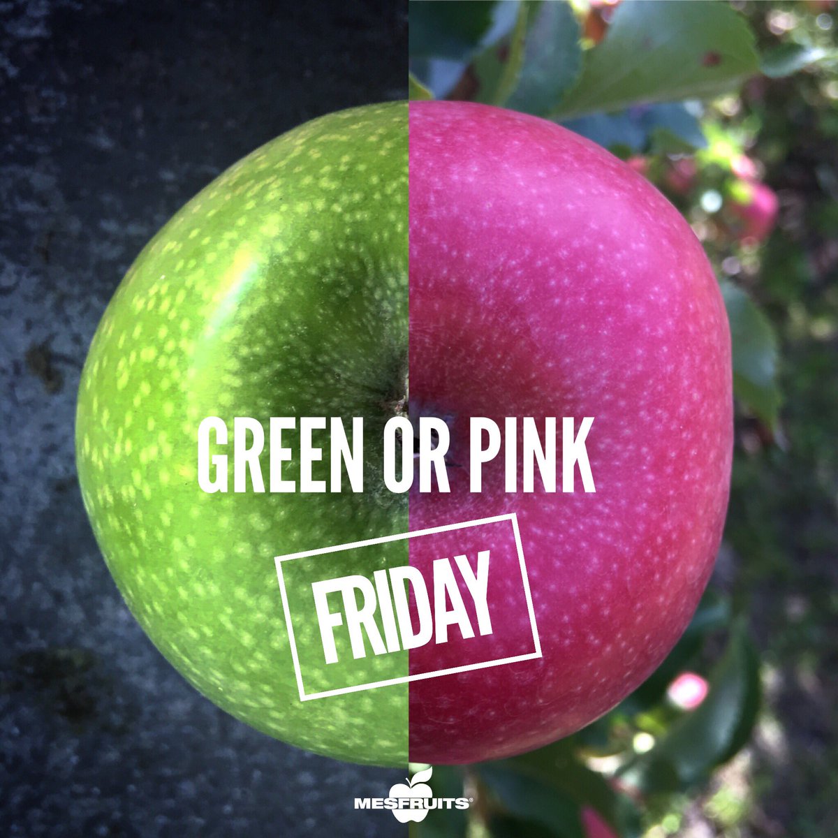 mesfruits's tweet photo. #blackfriday no ! 😜😂 🍏 🍎 #greenorpinkfriday #greenfriday #pinkfriday #applefriday #mesfruits https://t.co/1EtrnhW7X5