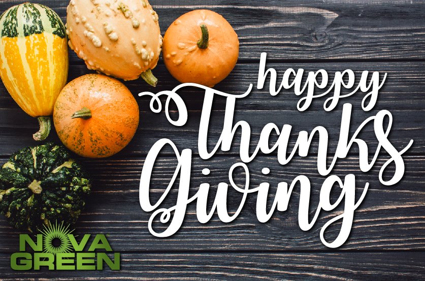 GrowNovaGreen's tweet photo. Thanking YOU on this Thanksgiving - NovaGreen wishes you and your family, a healthy and happy Thanksgiving! https://t.co/vilUPoAe4G