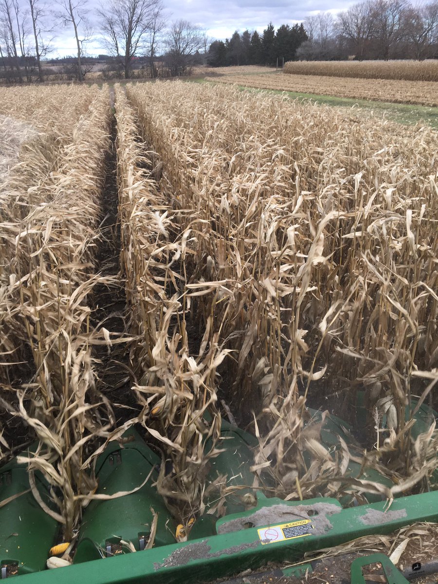 NicoleWeberAg's tweet photo. It's a little chilly today but the #BringingYouWhatsNext Ayr site is finally done! Stay tuned for trial results #FSPinthefield #SeedingRates #BioAg #StarterBlends https://t.co/3OyG1KFTLB