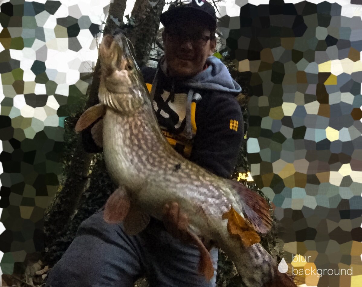 21lb 8oz giant taken on 9lb braid with a a7lb leader! #finessejig <a href="/mike_Iaconelli/">Mike “IKE” Iaconelli</a> <a href="/ikeliveshow/">Ike_Live</a>
