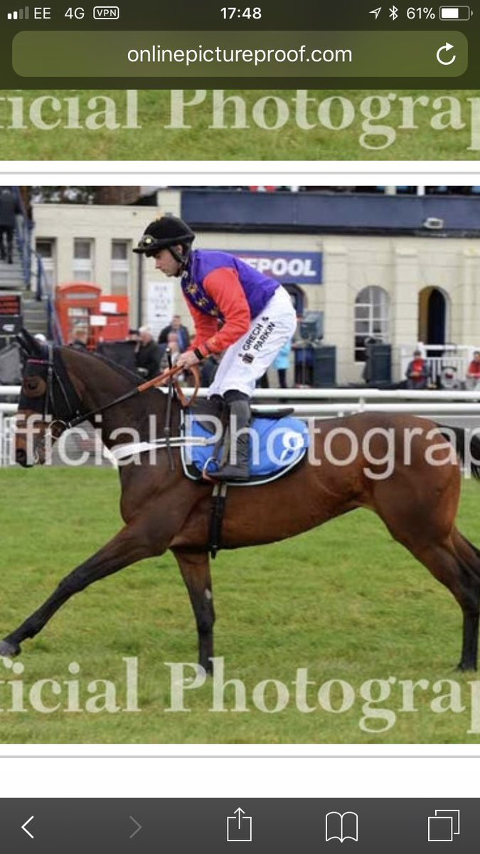 Richardjames20's tweet photo. Finally ordered these pics of my Sunshade wining @LudlowRaceClub #sunshade #NJH #sevenbarrows #star #love #potentialstar https://t.co/5280jtnN4g