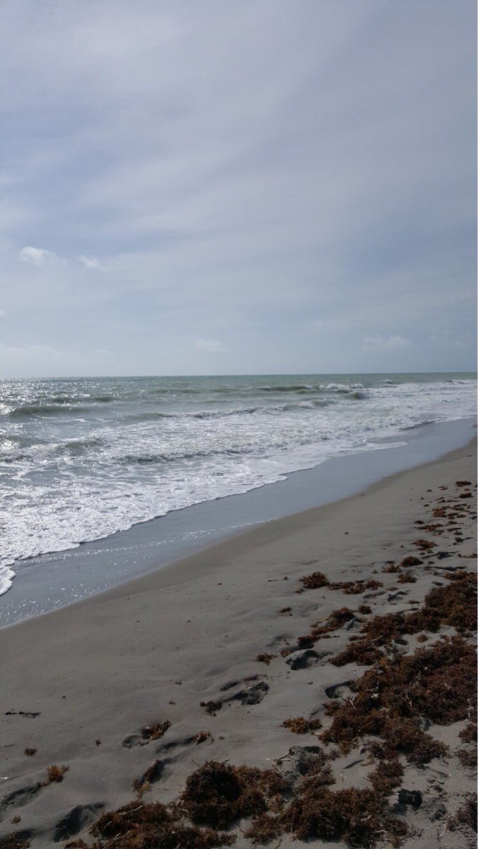 NHSWBHS's tweet photo. Beach Clean Up https://t.co/XIw8Q9jf53