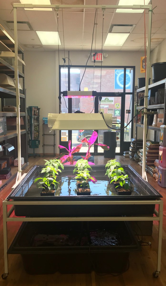 O Xrhsths The Grow Room Sto Twitter Products We Love Fast Fit