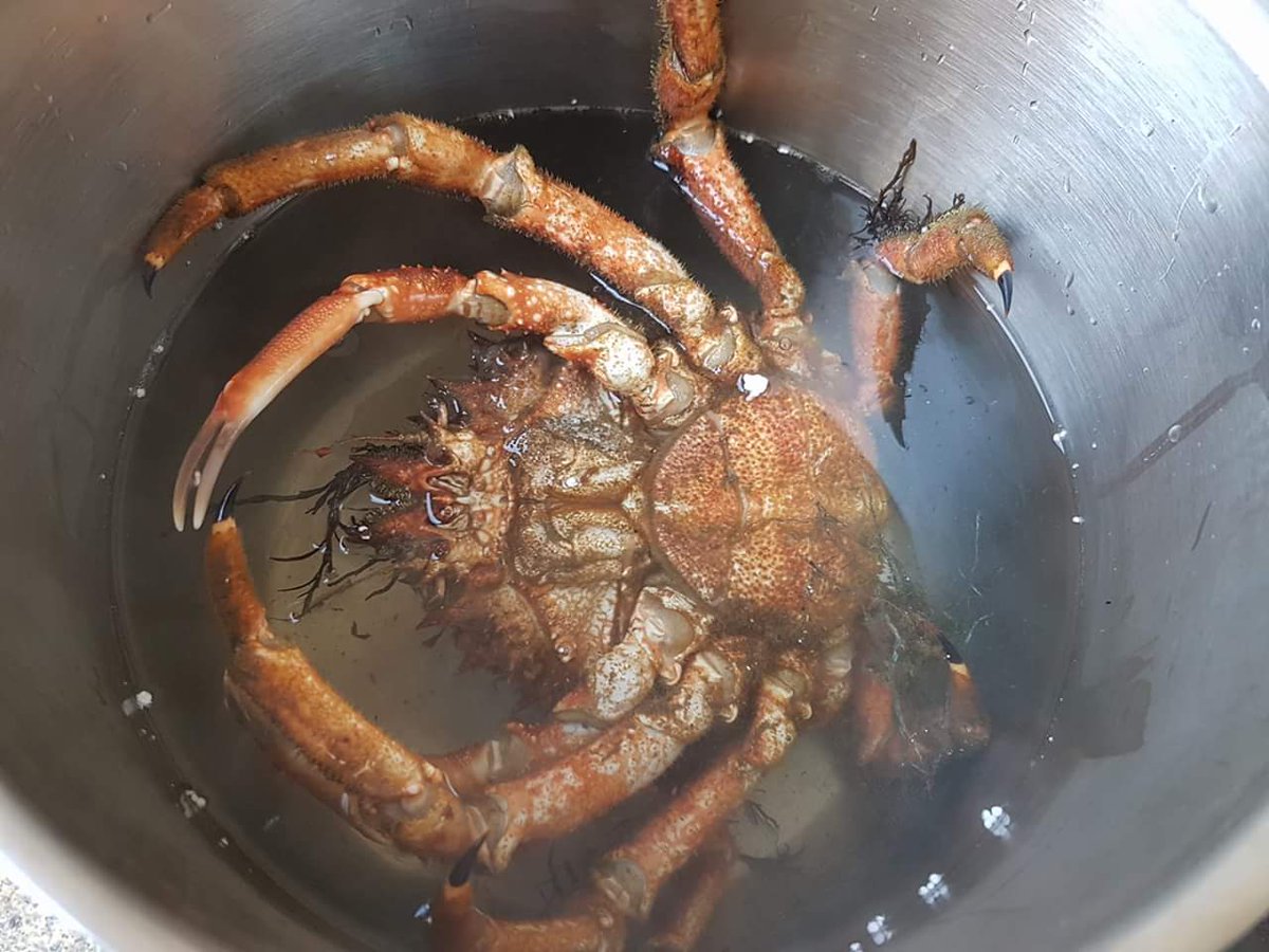 AChabola's tweet photo. ¿Vamos a por la Navidad? #mariscos #pescados #arroces #menúgrupos #Achabola https://t.co/i7VHRNMz8e