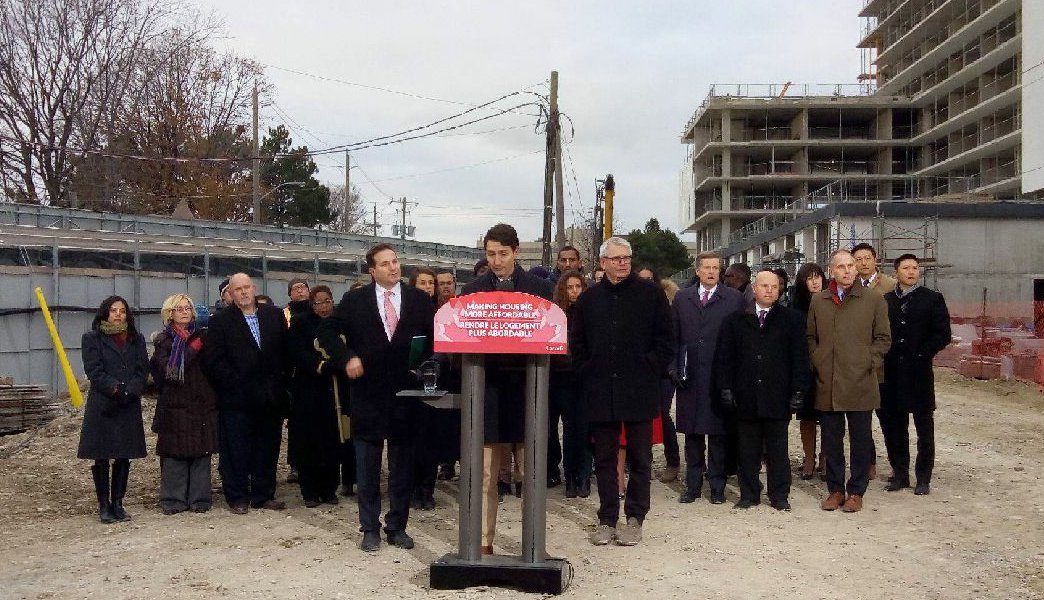 Josh Colle tweet media