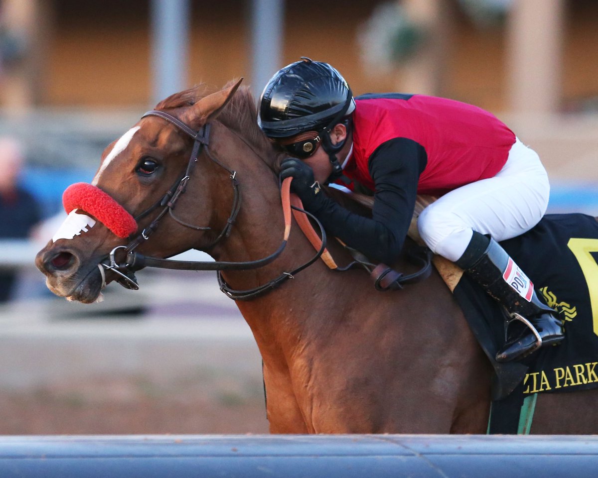 BH_AEberhardt's tweet photo. #SandysSurprise with @_MGutierrez_ wins @ZiaParkCasino #Oaks for #STDRacing #Haymes #Fuller @DougONeill1 By @BreedersCup #Classic winner #Drosselmeyer @CoadyPhoto https://t.co/GiCKpp3wLF
