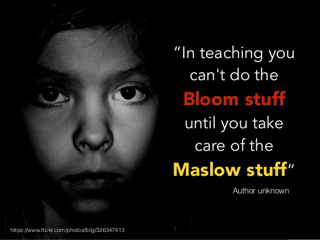 Kimiko Shibata 🦋 (@esl_fairy) on Twitter photo <a href="/GillianSup4ELL/">Gillian Hall</a> A1: When we teach through an equity lens and focus on student well-being, we provide an even playing field for achievement. #ELLOntario <a href="/GillianSup4ELL/">Gillian Hall</a> A1: When we teach through an equity lens and focus on student well-being, we provide an even playing field for achievement. #ELLOntario