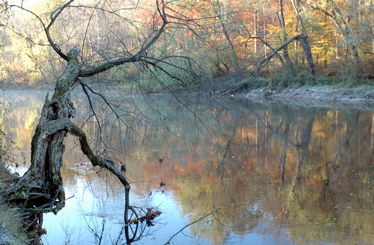 NCCDE's tweet photo. Will you #OptOutside on #BlackFriday? Share your park pix with us by tagging New Castle County Government on FB or @NCCDE on Twitter & IG. #LiveHealthyNCC #fitDE (photo by Eli Biado) https://t.co/glB6f9TZ8u