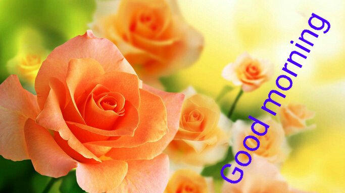satheesh779's tweet photo. https://t.co/YBxUbhXX2h