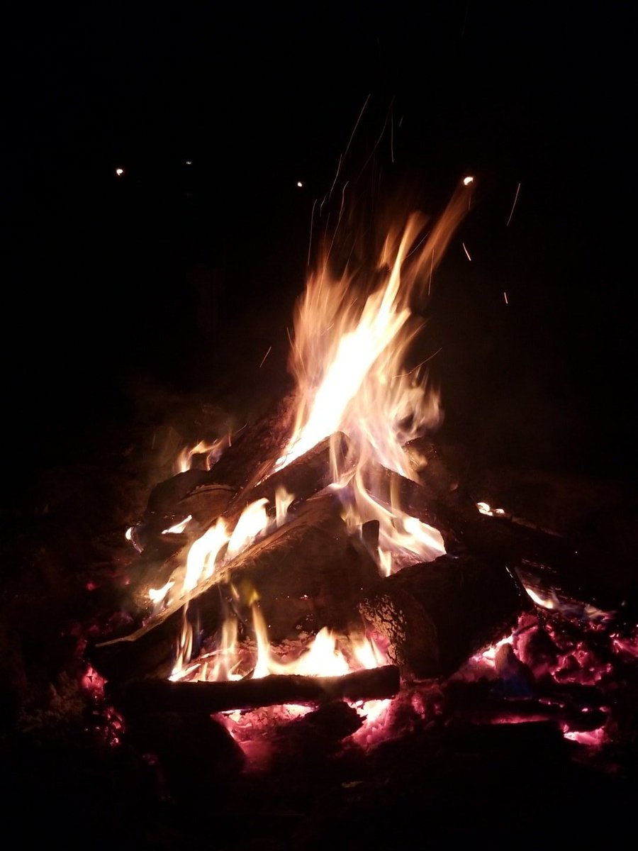 dbutlerbaseball's tweet photo. Time to relax. #chillinhard https://t.co/IubMdzcG9J