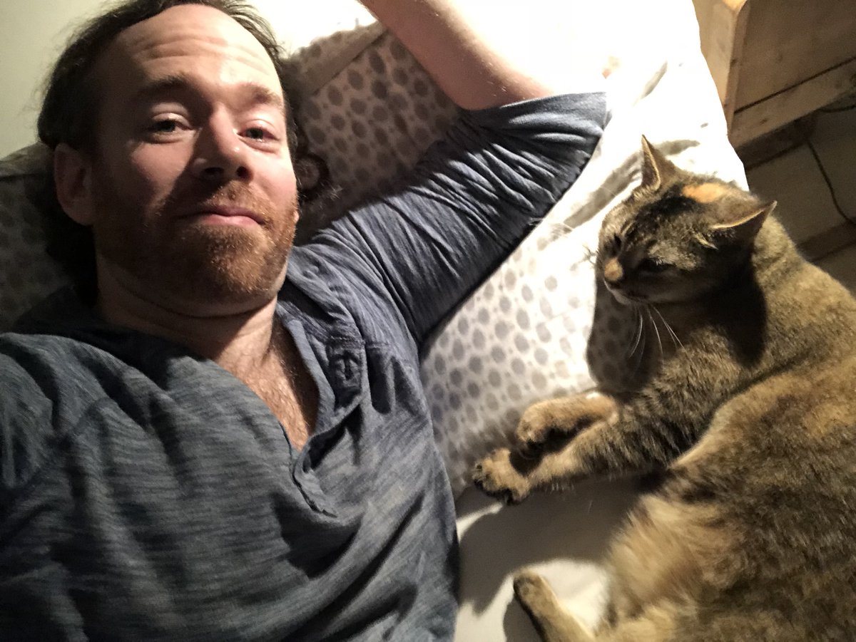 kevinddaly's tweet photo. Bedtime Story: A Play in Three Acts #cats #secondperformance https://t.co/zVtEi3RThm