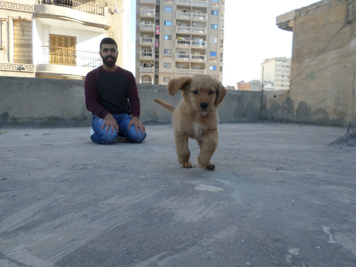 OMosllum's tweet photo. Rocky ❤ https://t.co/PuvgAUWSL9