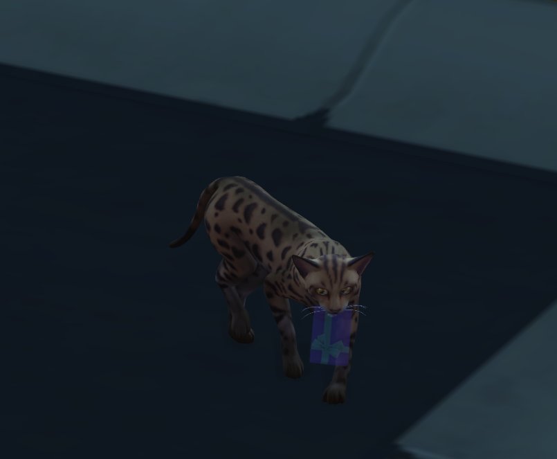 EmSims81's tweet photo. Tammy has returned and she brought my Sims a present too! 😃 I'm so happy Simmers! 💚 #TheSims4CatsAndDogs  #TheSims4 #TS4 https://t.co/iZMHzhBUJ9