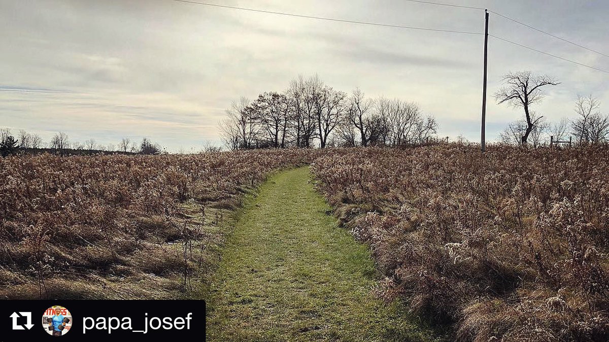 steannesspa's tweet photo. “A running trail all to myself. #runnersdream” 📷: papa_josef #repost https://t.co/5kmlyXSg03