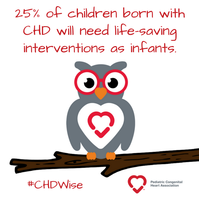 conqueringchd tweet picture